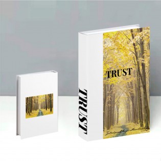 Libro Decorativo x3 con... 2