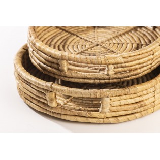 Bandeja de Jacinto Trenzado... 2