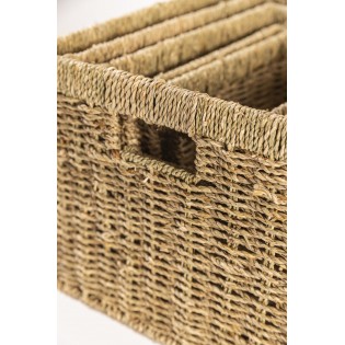 Contenedor de Fibra Natural... 2