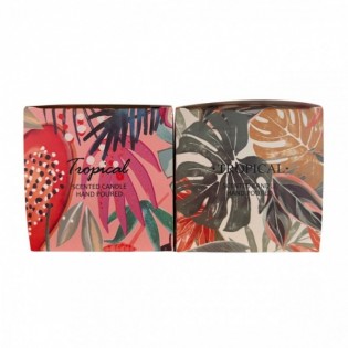 Vela Linea Tropical - Anana... 2