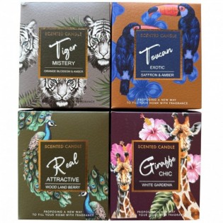 Vela Linea Safari -... 2