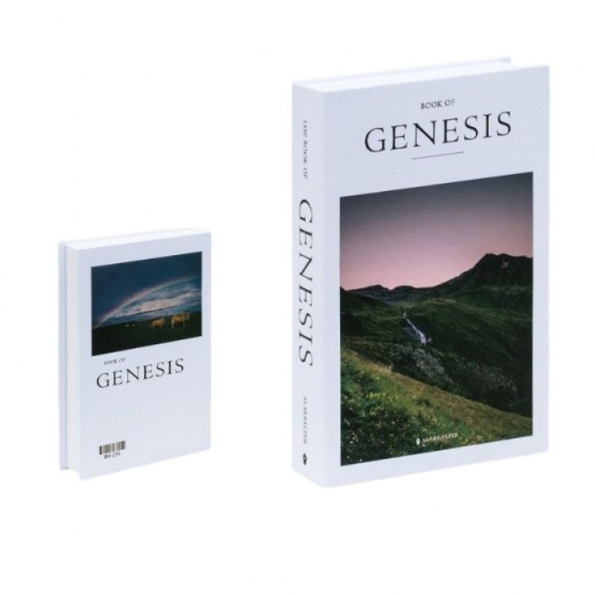 Libro Decorativo Genesis cod. 54012