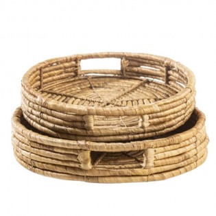 Bandeja de Jacinto Trenzado...