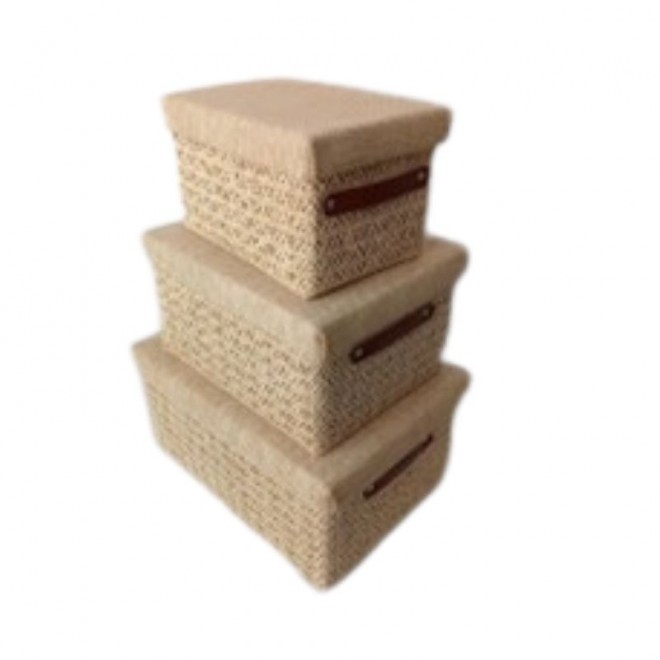 Canastos con Tapa set x3 cod. 494383