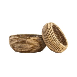 Bandeja de Jacinto Trenzado...