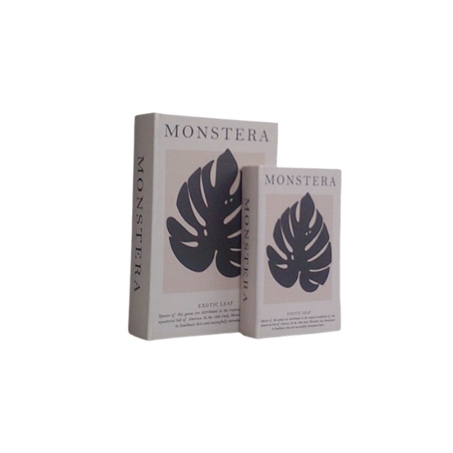 Libro Caja Monstera Set x 2 cod. 623125