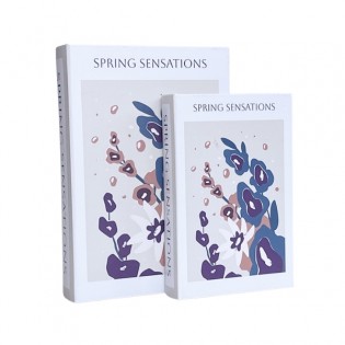 Libro Caja Spring...
