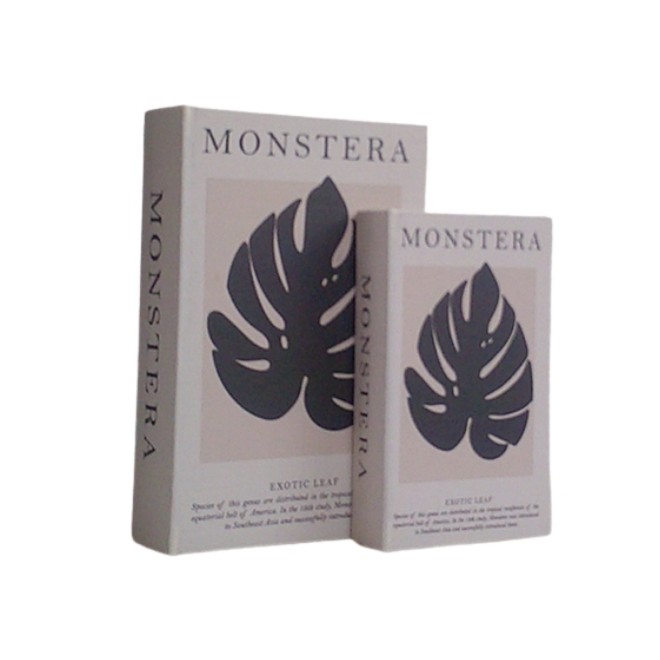 Libro Caja Monstera Set x 2 cod. 623125
