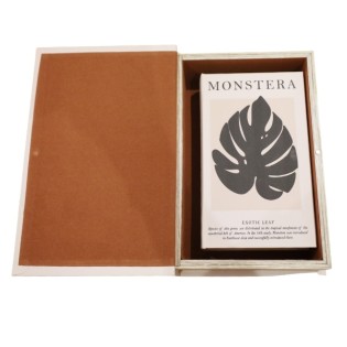 Libro Caja Monstera Set x 2... 2