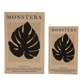 Libro Caja Monstera Set x 2... 2